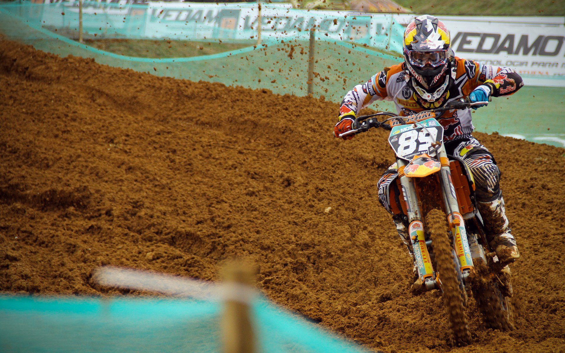 全球体育赛事年度分析